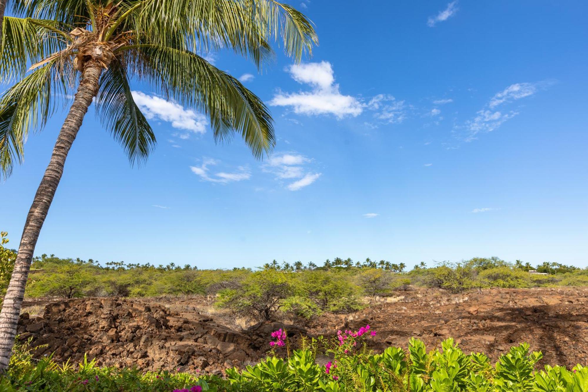 Mauna Lani Palm Villas D-2 Corner Unit Historic View Waikoloa Eksteriør bilde