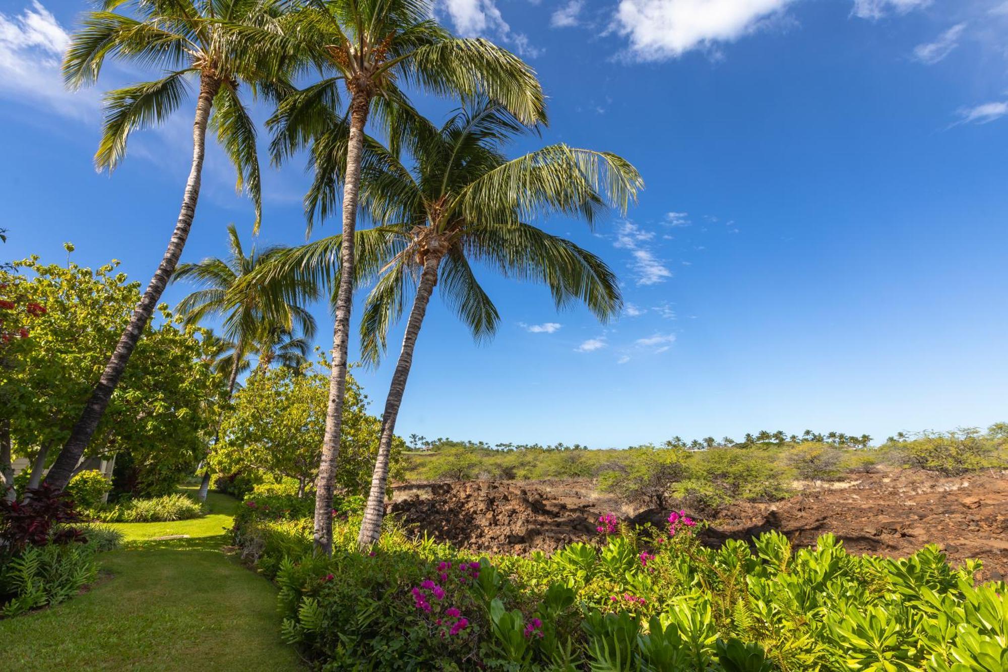 Mauna Lani Palm Villas D-2 Corner Unit Historic View Waikoloa Eksteriør bilde